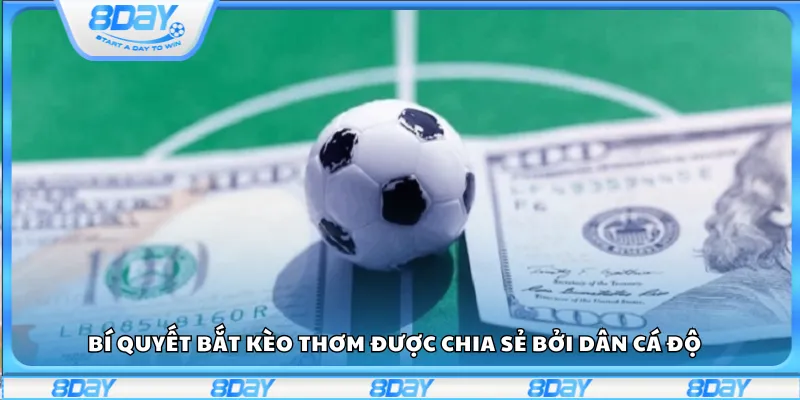 Bí quyết bắt kèo thơm được chia sẻ bởi dân cá độ 
